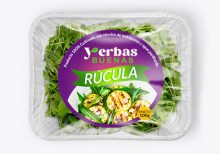 Christmas Cactus - Imagen 3