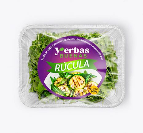 Aloe Juvenna Plant - Imagen 2